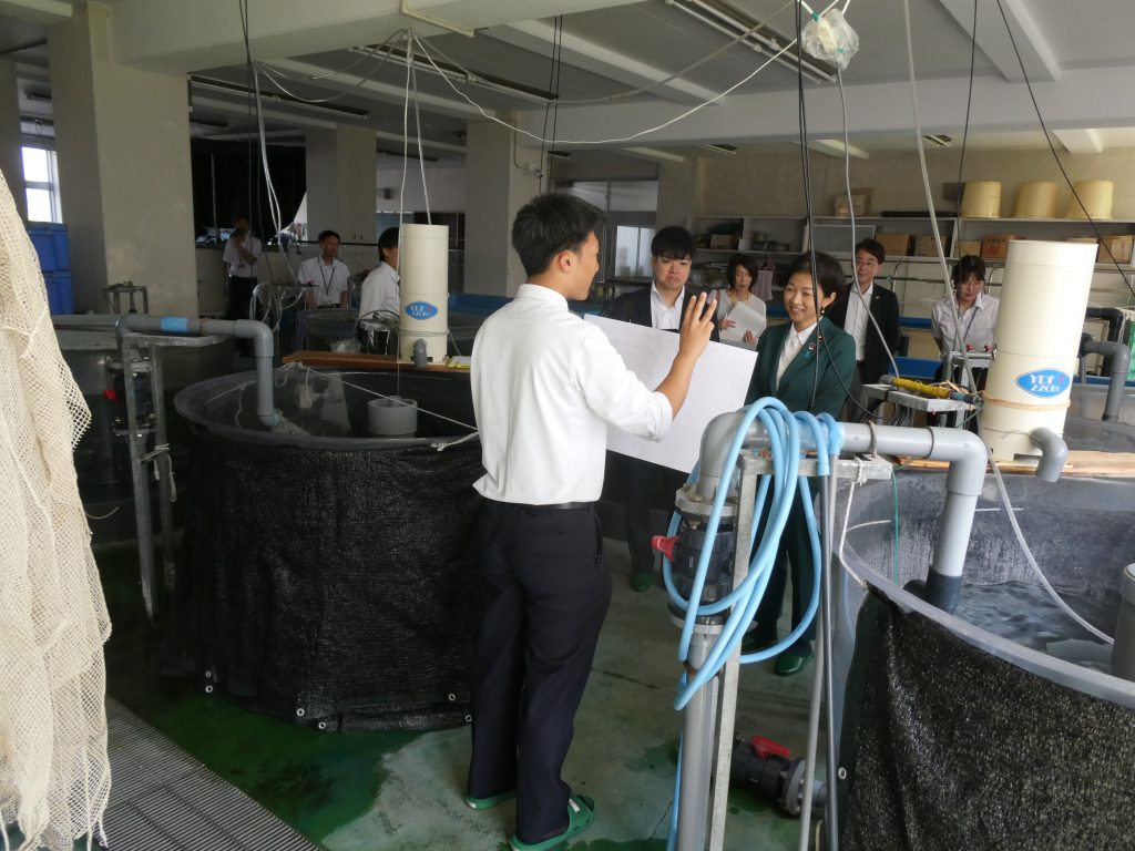 水槽設備を用いた栽培研究を説明